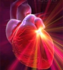 The Spiritual Heart: Your Gateway To Accessing Metaphysical Knowledge ...